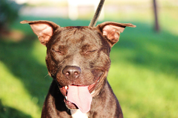 來自社交媒體的圖片如何幫你在網絡上脫穎而出 來自社交媒體的圖片如何幫你在網絡上脫穎而出