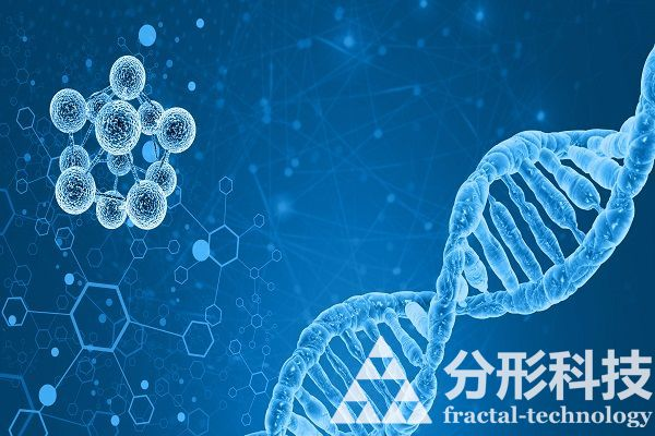 醫院網站建設：數字化健康服務新模式